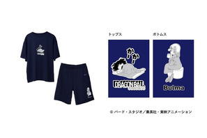 「ドラゴンボール」悟空、クリリン、ブルアらと“亀仙流”の修業だ☆リカバリーウェア登場で“よく動き　よく学び　よく遊び　よく食べて　よく休む”！ 画像