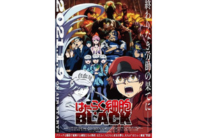 「はたらく細胞BLACK」第2弾キービジュアル＆PV公開！ マクロファージ役・椎名へきるら追加キャストも発表 画像