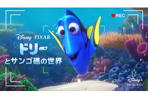 ASMR作品「ドリーとサンゴ礁の世界」が登場！ 「Disney+」配信ラインナップが一挙発表 画像