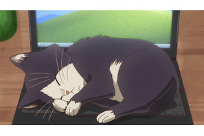 素晴は同居猫に名前をつけることに…TVアニメ『同居人はひざ、時々、頭のうえ。』第2話あらすじ＆先行カットが到着！ 画像
