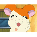 OVA『とっとこハム太郎』（C）河井リツ子／小学館・SMDE