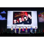 「ONE PIECE DAY’25」0810エッグヘッド編 声優 SPECIALステージ-EGGHEAD Arc Voice Actors’ Special Stage