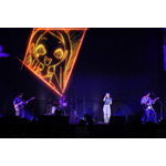 「ONE PIECE DAY’25」0810ONE PIECE DAY_25 SPECIAL LIVE muque