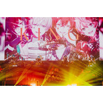 「騎士X - Knight X - 1st ONE MAN LIVE 2025 in 日本武道館」ライブ写真