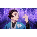 『テレビアニメ「鬼滅の刃」竈門炭治郎 立志編』