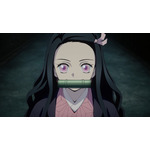 『テレビアニメ「鬼滅の刃」竈門炭治郎 立志編』
