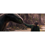 映画『ヒックとドラゴン』