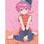 TVアニメ『らんま1/2』Blu-ray＆DVD Vol.1ジャケットデザイン