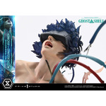 「アルティメットプレミアムマスターライン GHOST IN THE SHELL / 攻殻機動隊 草薙素子 VS アラクニダ ボーナス版」