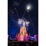 ミセスとコラボのベイマックスやきらびやかなパレードにキャッスルショーまで!“夜プラン”で満喫する東京ディズニーランド