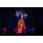 ミセスとコラボのベイマックスやきらびやかなパレードにキャッスルショーまで!“夜プラン”で満喫する東京ディズニーランド