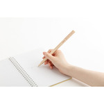 「すみっコすし わりばしみたいなボールペン」使用イメージ（C）2025 SAN-X CO., LTD. ALL RIGHTS RESERVED.