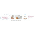 サンエックス「ぬいフォトシリーズ POCOPOCO」使用イメージ（C）2025 SAN-X CO., LTD. ALL RIGHTS RESERVED.