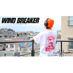 ビッグTシャツ（全3種）