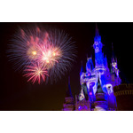 高気温で大人気パレードは中止に…! 東京ディズニーランドの“Dハロ”が明日開幕!