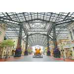 高気温で大人気パレードは中止に…！　東京ディズニーランドの“Dハロ”が明日開幕！