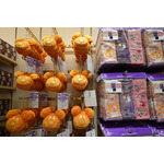 高気温で大人気パレードは中止に…！　東京ディズニーランドの“Dハロ”が明日開幕！