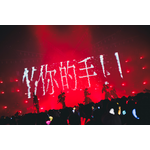 「いれいす Summer Tour 2025『えびばでぃ - 祭 - FESTIVAL !!』」