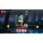 『魔法使いの嫁　盛夏の幻と夢見る旅路』