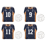 「ハイキュー!!」鳥野高校ウェア＆バレーボールのアルミ巻きチョコが登場！ヒナガラス型ケースも 画像