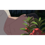 映画『ホウセンカ』