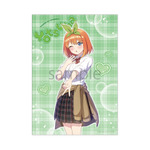 TVスペシャルアニメ『五等分の花嫁＊』【ゲーマーズ専売】A3マットポスター＜Trick or Heart 四葉＞（C）春場ねぎ・講談社／「五等分の花嫁＊」製作委員会