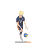 ハイキュー!! ビッグアクリルスタンド【描き下ろし】（全９種）