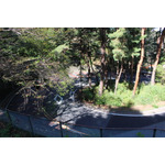 『耳をすませば』聖地・聖蹟桜ヶ丘