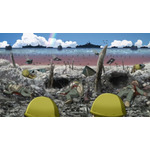 アニメ映画『ペリリュー －楽園のゲルニカ－』場面写真