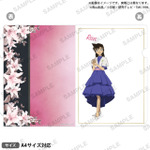 名探偵コナン　クリアファイル ブラウスタイルver. vol.2