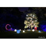 「藤子・F・不二雄ミュージアム クリスマスはミュージアムで!2025」3階・はらっぱのクリスタルツリー(C)Fujiko-Pro