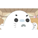 「小3アシベ QQ ゴマちゃん」TVアニメ化＆26年春放送！制作はDLE　「アシベ」シリーズ最新作 画像