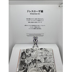 「TAMASHII NATION 2025」実物フィギュア