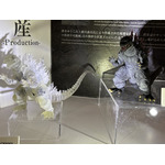 「TAMASHII NATION 2025」実物フィギュア