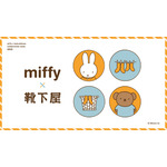 「ミッフィー」×「靴下屋」コラボ靴下