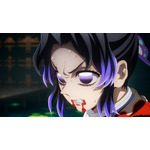 『劇場版「鬼滅の刃」無限城編 第一章 猗窩座再来』キャラクターCM［胡蝶しのぶ］場面カット