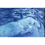 『大いなる河の流れ』