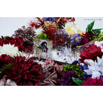 【CLAMP】『xxxHOLiC』GRAPHIC ACRYLIC STAND