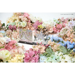 【CLAMP】『ちょびっツ』GRAPHIC ACRYLIC STAND