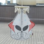 イカデビル　洗濯ネット使用イメージ