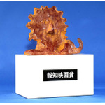 「報知映画賞」