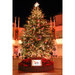 上戸彩がジュディ＆ニックとサプライズ登場！東京ディズニーランドでスペシャルグリーティング開催