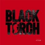 オーロラステッカー