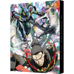 『リーンの翼』Blu-ray BOX【特装限定版】Wブックケース