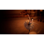 『SWAN LAKE~starring KizunaAI』場面写真