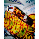 「ジョジョの奇妙な冒険 スターダストクルセイダース」府限定ボード