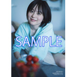 セブンネット特典ブロマイド