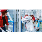 左:永野芽郁=赤血球 右:佐藤健=白血球(好中球)