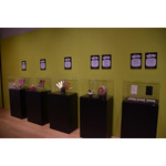 「大たまごっち展」の様子