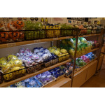 「大たまごっち展」の様子